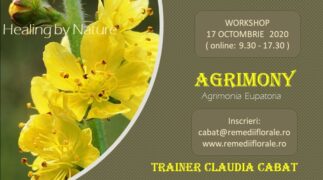 Agrimony Workshop 17 octombrie-min