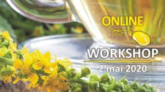 Agrimony Workshop 2 mai-min