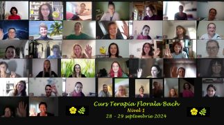 13. Curs nivel 1, 28-29 septembrie 2024