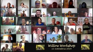 14. Willow Workshop