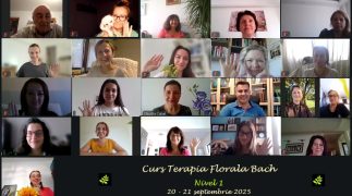 13. Curs nivel 1 - 20-21 septembrie 2025