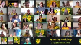 13. Mimulus Workshop - 27 septembrie 2025