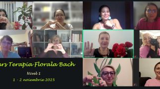 16. Curs nivel 1 - 1-2 noiembrie 2025