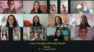 10. Curs nivel 1 online, 9-10 mai 2026