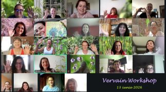 12. Vervain Workshop, 13 iunie 2026