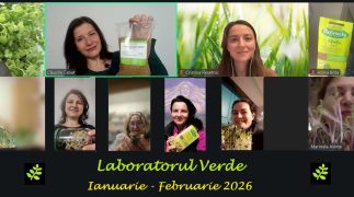 2. Laboratorul Verde