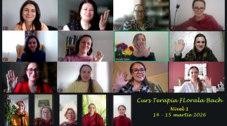 7. Curs nivel 1 online, 14-15 martie 2026