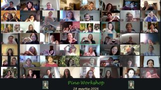 7. Pine Workshop, 28 martie 2026